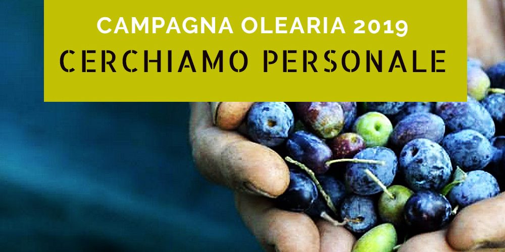 campagna olearia 2019 campagna olearia 2019