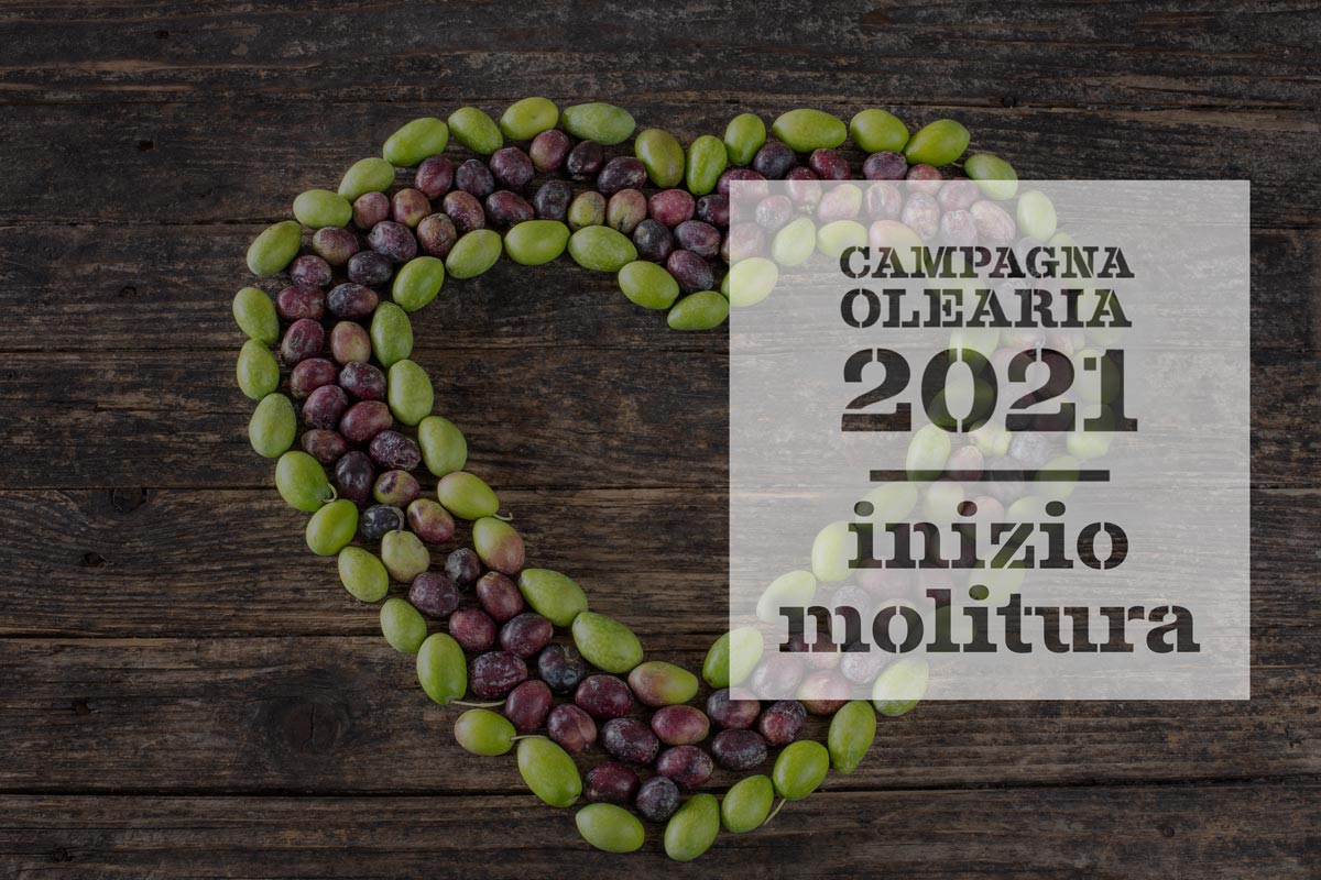 campagna olearia 2021 inizio molitura