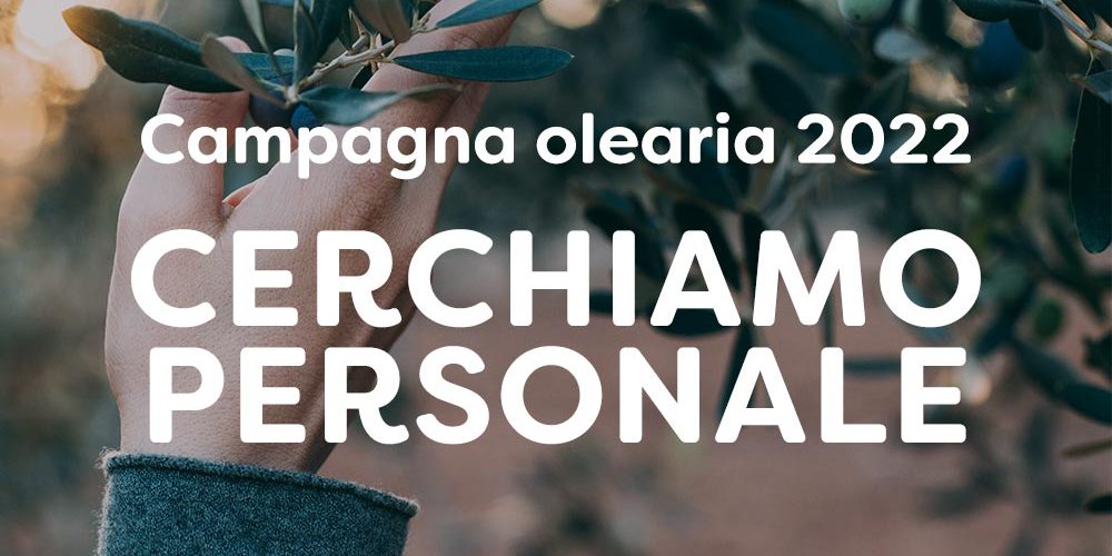 CERCHIAMO-PERSONALE