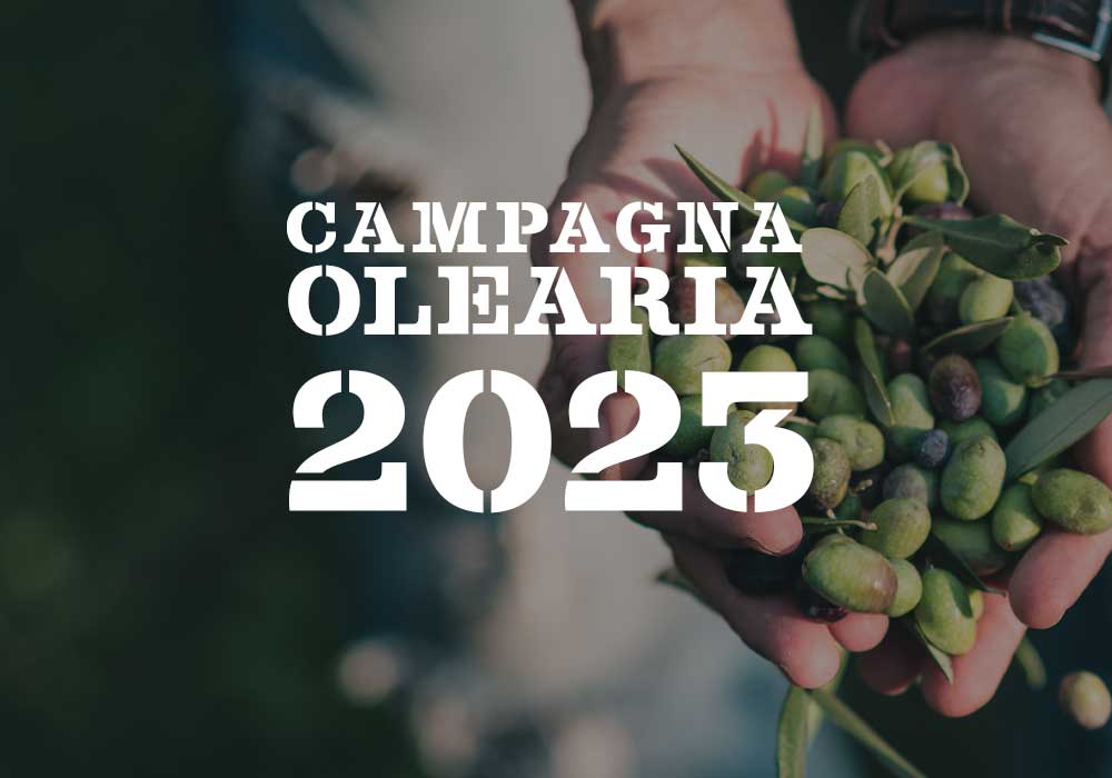 CAmpagna_RAccolta_1000x700 Campagna olearia 2023