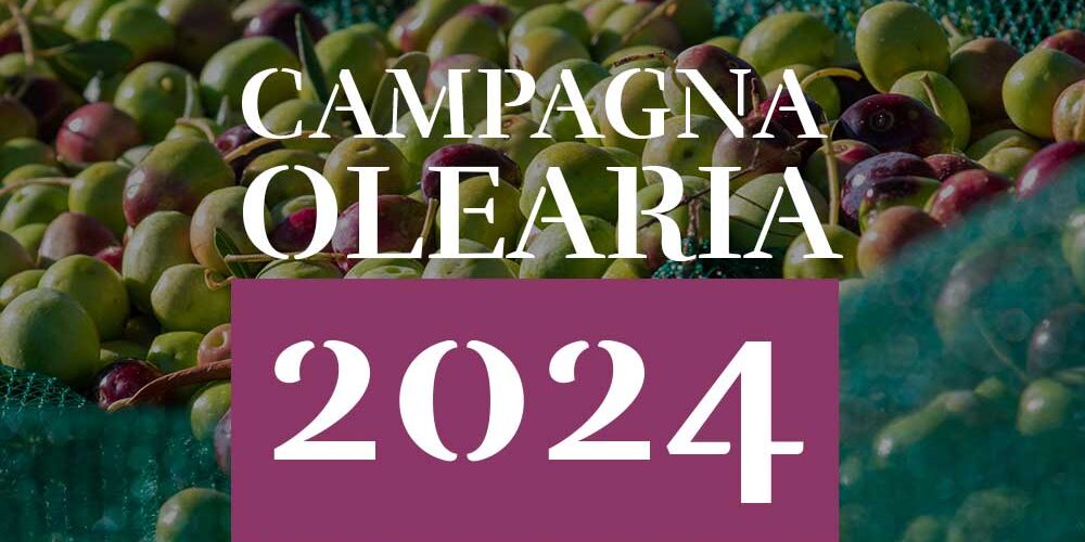 4_Bozza_Campagna_Olearia_2k24 campagna olearia 2024