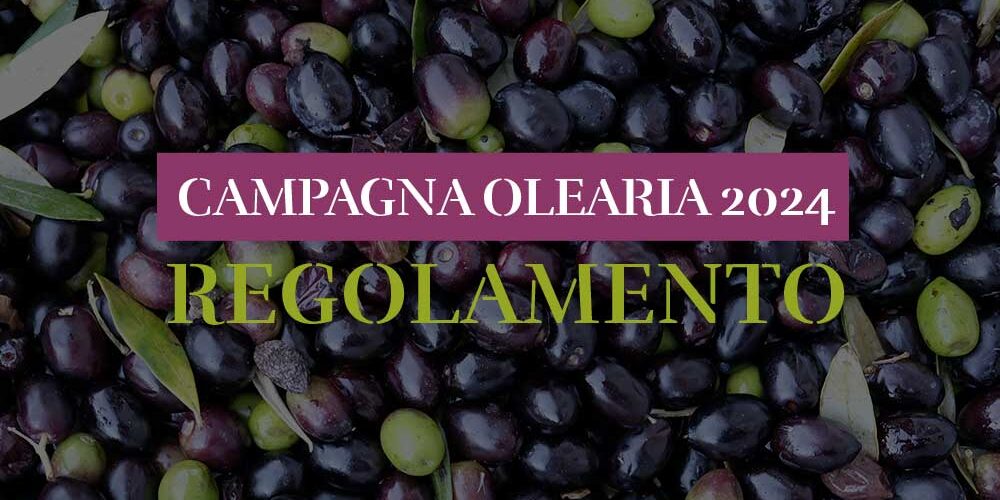 Bozza_Campagna_Olearia_2k24