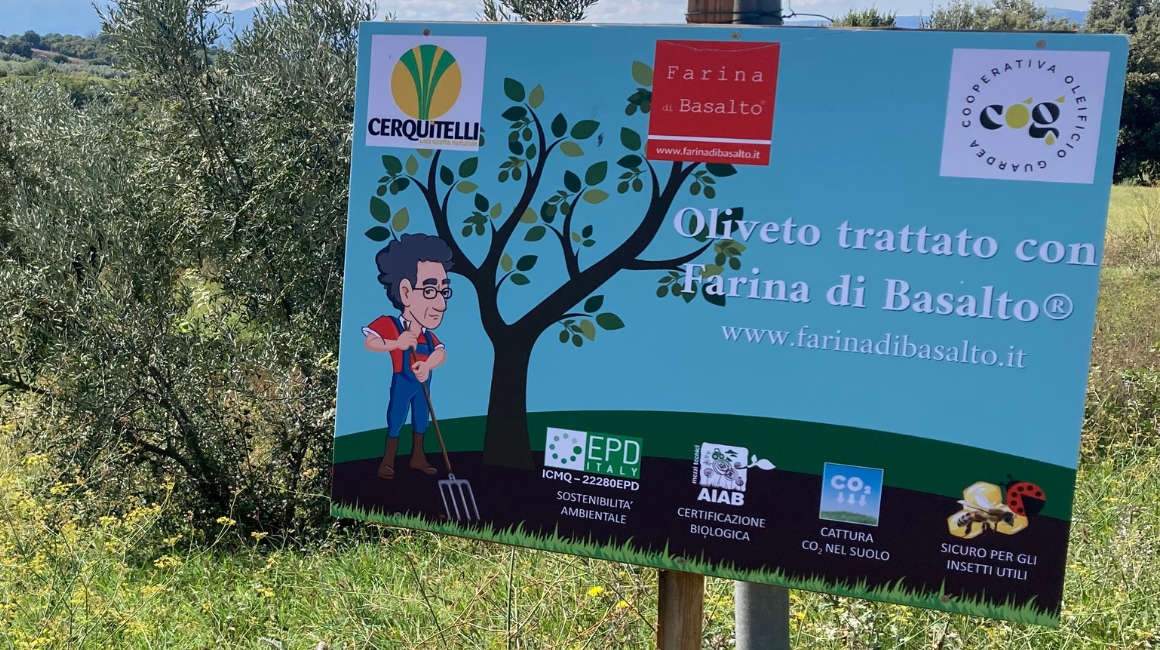 La qualità dell’olio della Cooperativa Oleificio di Guardea – Campagna olearia 20252026 La qualità dell’olio della Cooperativa Oleificio di Guardea – Campagna olearia 20252026