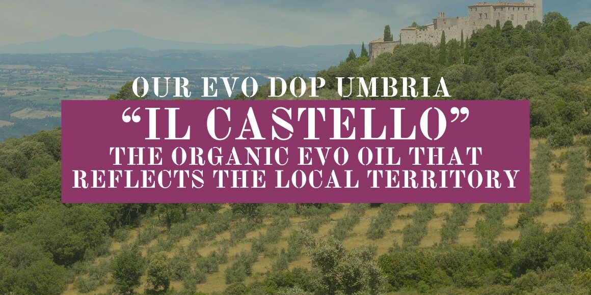 Olio DOP Umbria “Il Castello” l’extravergine biologico che racconta il territorio