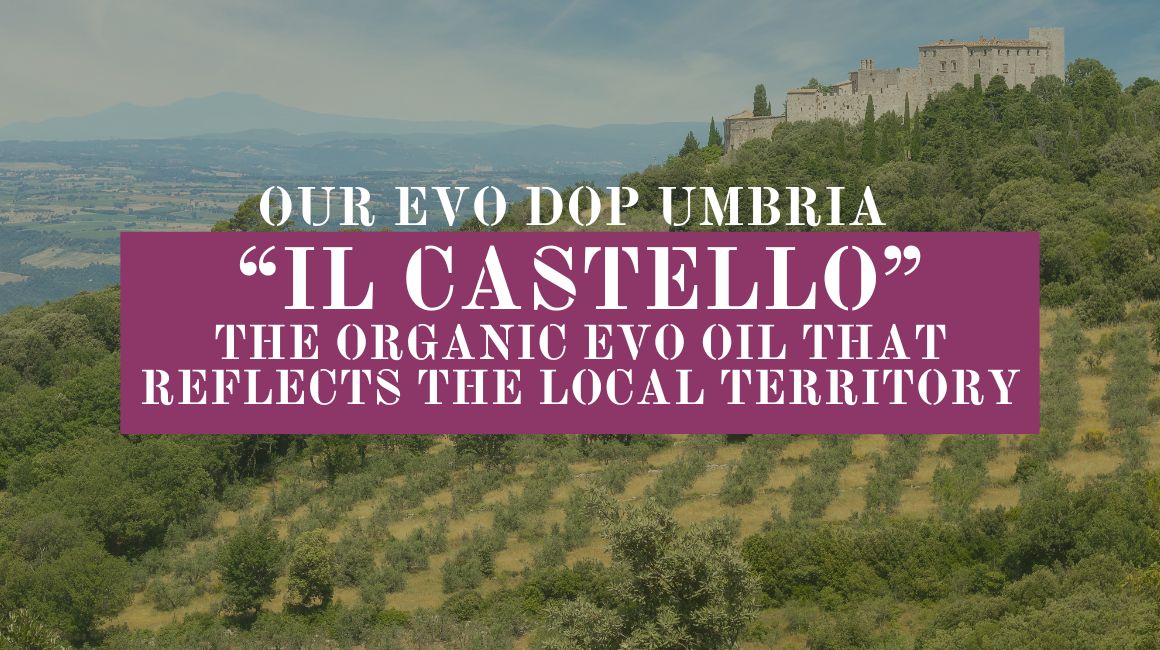 Olio DOP Umbria “Il Castello” l’extravergine biologico che racconta il territorio