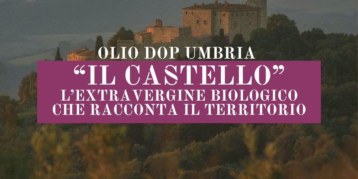 Olio DOP Umbria “Il Castello”_ l’extravergine biologico che racconta il territorio (2)