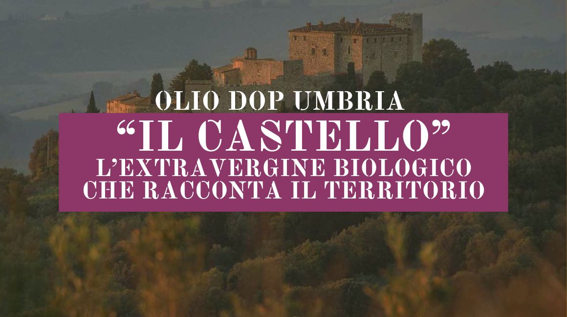 Olio DOP Umbria “Il Castello”_ l’extravergine biologico che racconta il territorio (2)