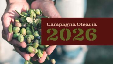Campagna olearia 2026 – 3